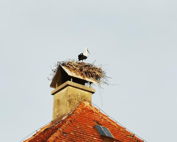 Gasthof Zur Post - Neuschonau